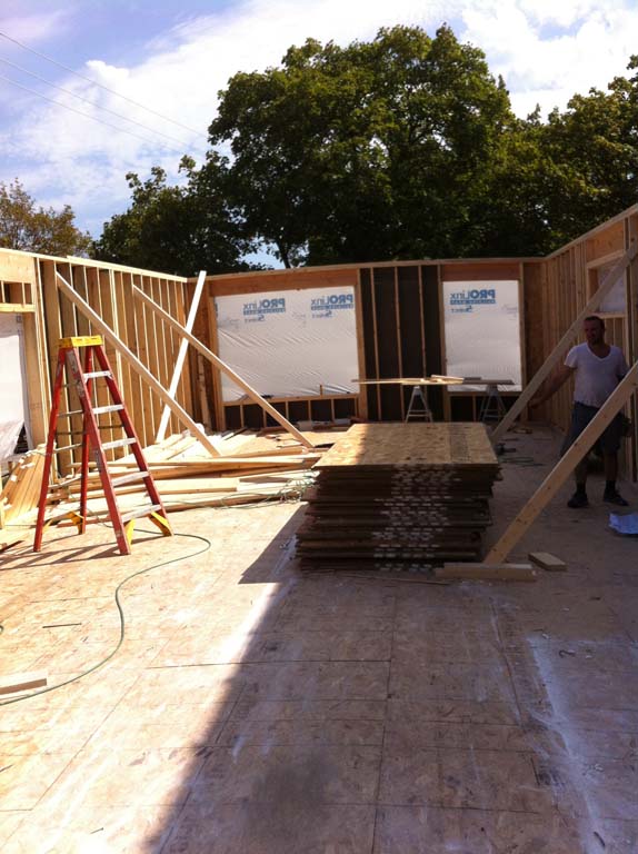 Project name