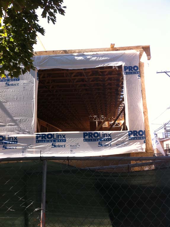 Project name