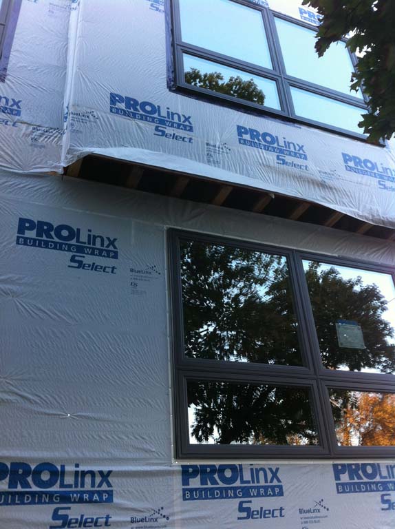 Project name